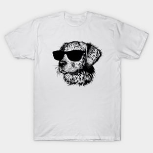 Cool Dog T-Shirt